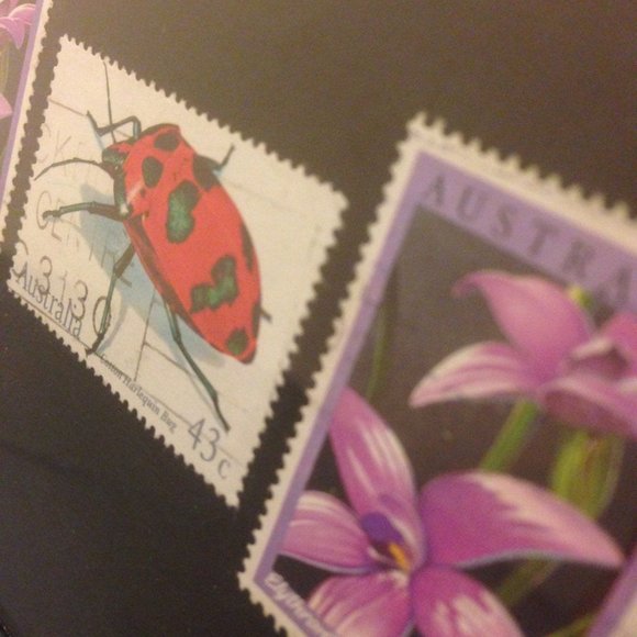 Lady bug - Recycled Postage Stamp Framed Art 3.5"x5", Ladybug, flower stamp, bug - Picture 2 of 3